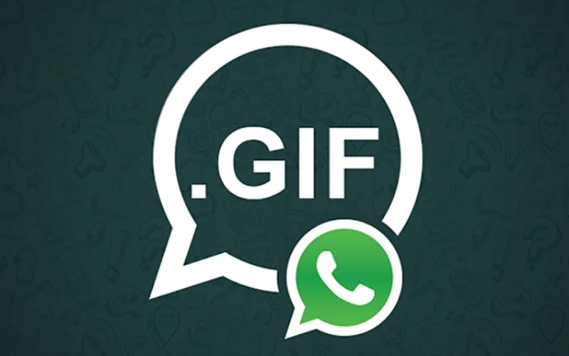 Whatsapp GIF !
